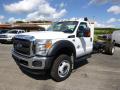 Front 3/4 View of 2015 Ford F450 Super Duty XL Regular Cab Chassis #4