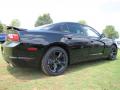 2014 Charger SXT #3