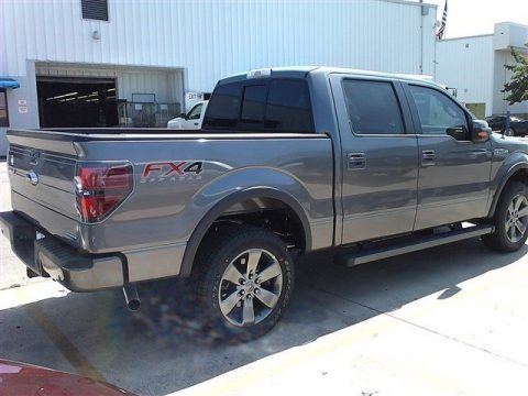 Sterling Grey Ford F150 FX4 SuperCrew 4x4.  Click to enlarge.