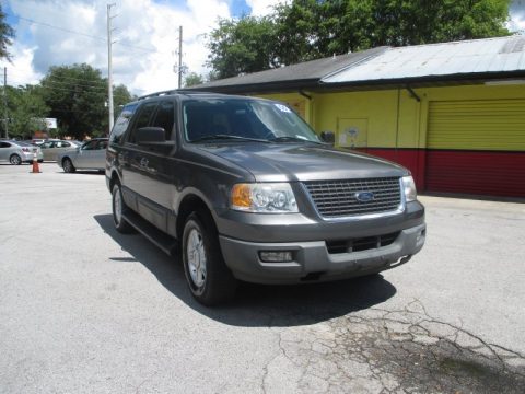 Dark Shadow Grey Metallic Ford Expedition XLT.  Click to enlarge.
