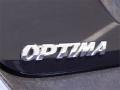 2010 Optima LX #10 2010 Optima LX #10