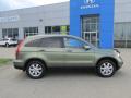 2009 CR-V EX-L 4WD #2