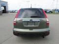 2009 CR-V EX-L 4WD #3
