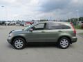 2009 CR-V EX-L 4WD #4