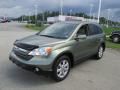 2009 CR-V EX-L 4WD #5