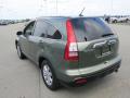 2009 CR-V EX-L 4WD #17