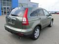 2009 CR-V EX-L 4WD #18