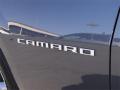 2010 Camaro LS Coupe #10