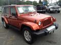 2009 Wrangler Unlimited Sahara 4x4 #5