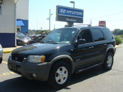 Black Ford Escape XLT V6 4WD.  Click to enlarge.
