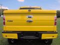 Exhaust of 2014 Ford F150 Tonka Edition Crew Cab 4x4 #4