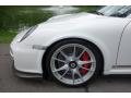  2011 Porsche 911 GT3 RS Wheel #9