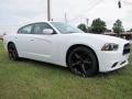 2014 Charger SXT #4