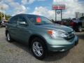 2011 CR-V EX-L 4WD #1