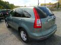 2011 CR-V EX-L 4WD #5