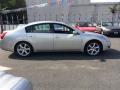 2006 Maxima 3.5 SE #10