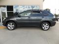 2004 RX 330 #10