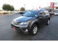 2013 RAV4 XLE #3