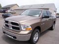 Front 3/4 View of 2009 Dodge Ram 1500 SLT Crew Cab 4x4 #1