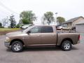 2009 Ram 1500 SLT Crew Cab 4x4 #8