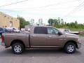  2009 Dodge Ram 1500 Austin Tan Pearl #12