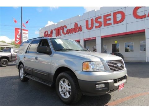 Silver Birch Metallic Ford Expedition XLT.  Click to enlarge.