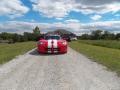 1997 Viper GTS #5