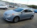 2011 Sonata GLS #5 2011 Sonata GLS #5
