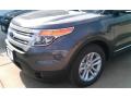 2015 Explorer XLT #2