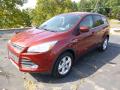 2014 Escape SE 1.6L EcoBoost 4WD #5