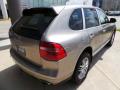 2009 Cayenne S #8