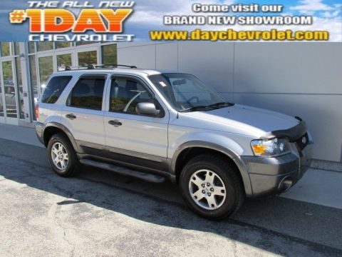 Silver Metallic Ford Escape XLT V6 4WD.  Click to enlarge.