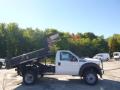 2015 F550 Super Duty XL Regular Cab 4x4 Dump Truck #1
