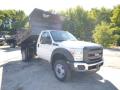2015 F550 Super Duty XL Regular Cab 4x4 Dump Truck #2