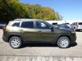  2015 Jeep Cherokee ECO Green Pearl #6