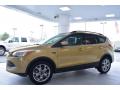 2014 Escape SE 1.6L EcoBoost 4WD #3