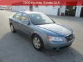 2009 Sonata GLS #1