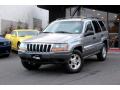 1999 Grand Cherokee Laredo 4x4 #3 1999 Grand Cherokee Laredo 4x4 #3
