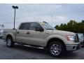 2010 F150 XLT SuperCrew #1 2010 F150 XLT SuperCrew #1
