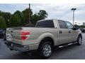 2010 F150 XLT SuperCrew #3 2010 F150 XLT SuperCrew #3