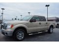 2010 F150 XLT SuperCrew #7 2010 F150 XLT SuperCrew #7