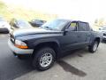 2003 Dakota Sport Quad Cab 4x4 #6