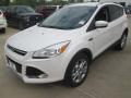 2015 Escape Titanium #3 2015 Escape Titanium #3