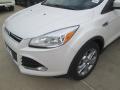 2015 Escape Titanium #4 2015 Escape Titanium #4