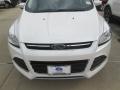 2015 Escape Titanium #6 2015 Escape Titanium #6