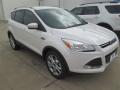 2015 Escape Titanium #9 2015 Escape Titanium #9
