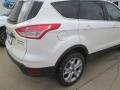 2015 Escape Titanium #10 2015 Escape Titanium #10