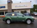 2012 Subaru Outback Cypress Green Pearl #10
