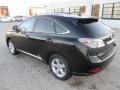 2010 RX 350 AWD #9