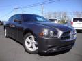 2013 Charger SE #1